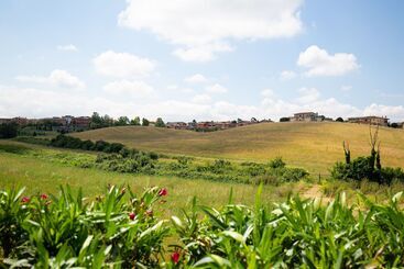 Tenuta Capizucchi