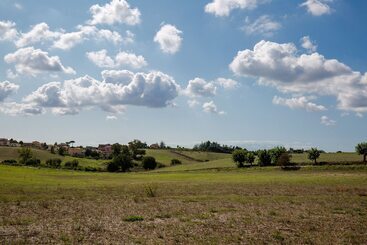 Tenuta Capizucchi
