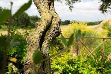 Tenuta Capizucchi