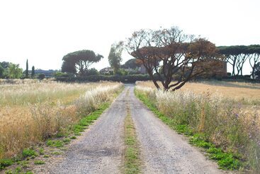 Tenuta Capizucchi