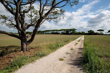 Tenuta Capizucchi