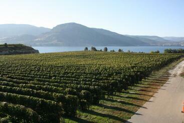 پانسیون D Angelo Winery Farm House