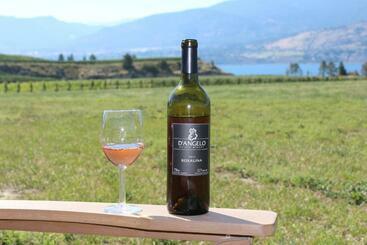 پانسیون D Angelo Winery Farm House