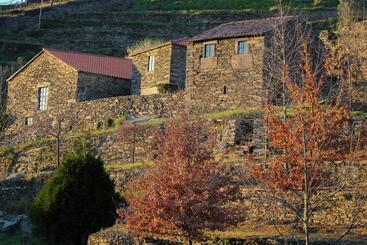 Cardenha Do Douro - Mesao Frio