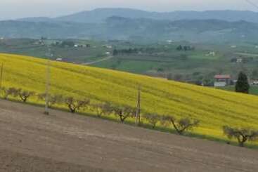 پانسیون Oca Giuliva