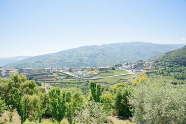 پانسیون Quinta Do Bosque