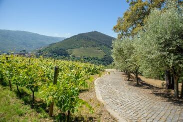 پانسیون Quinta Do Bosque