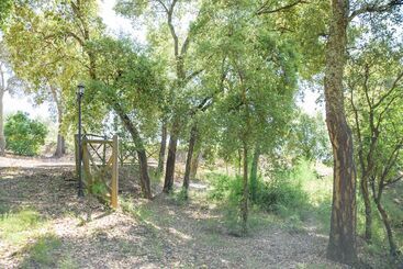 پانسیون Quinta Do Bosque