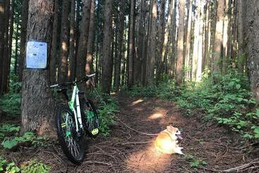 پانسیون Nori's Sharehouse Hakuba