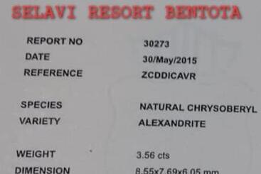 پانسیون Selavi Resort Bentota