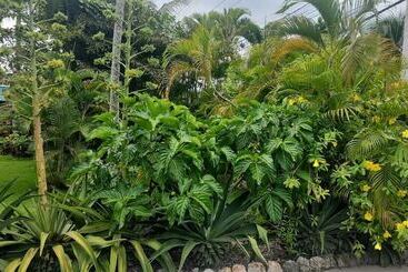 پانسیون Boca Del Paraiso