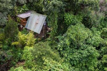 هتل Earth Lodge