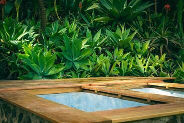 هتل Earth Lodge