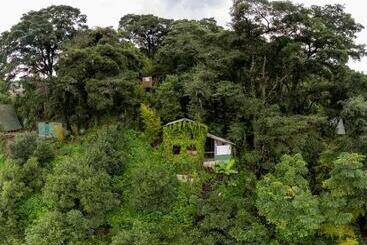 هتل Earth Lodge
