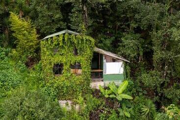 هتل Earth Lodge