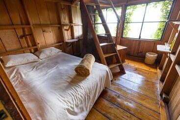 هتل Earth Lodge