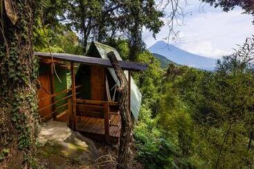 هتل Earth Lodge