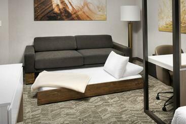 هتل Springhill Suites By Marriott Loveland Fort Collins/windsor