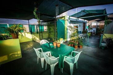 هاستل Mama Backpackers