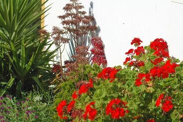 تختخواب و صبحانه Jingtu Wellness & Spa Resort