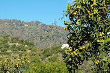 تختخواب و صبحانه Jingtu Wellness & Spa Resort