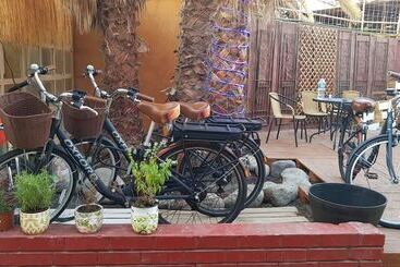 Hostel Willka Kuti Backpackers