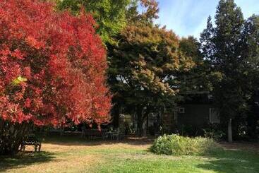 هتل Family Orchard Bed & Breakfast