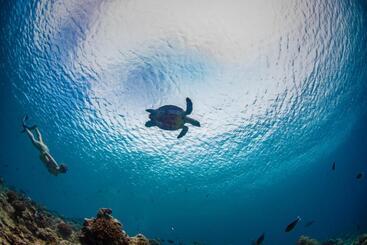 پانسیون Ocean Beach Inn   Maldives