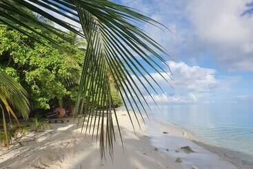 پانسیون Ocean Beach Inn   Maldives