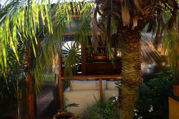 تختخواب و صبحانه El Bambu
