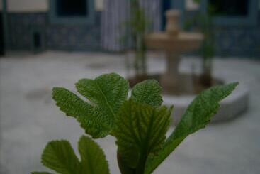 تختخواب و صبحانه Dar Baaziz