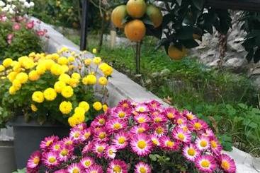 تختخواب و صبحانه Grandpa’s Home