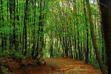 هتل Park Polonezkoy