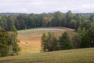 فندق Dahlonega Resort And Vineyard