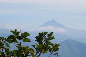 تختخواب و صبحانه Finca Petrona