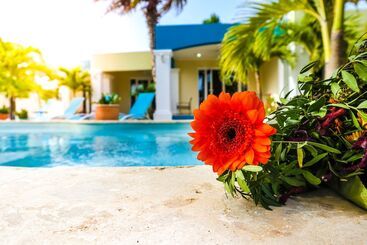 هتل Aqua Viva Suites