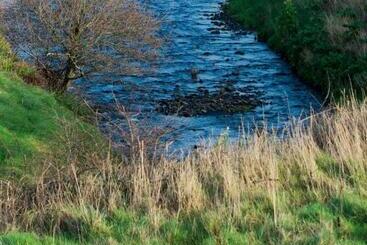 تختخواب و صبحانه Sheedy's Doolin