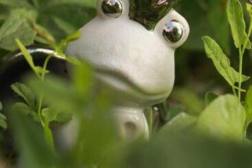 تختخواب و صبحانه La Maison Des Copains