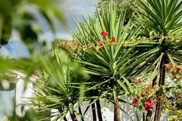 Boutique Hotel Rancho Los Lobos