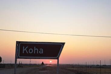 پانسیون Koha Guesthouse