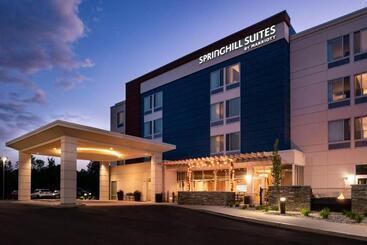 هتل Springhill Suites By Marriott Elizabethtown