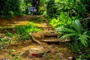 Osa Jungle Hostel