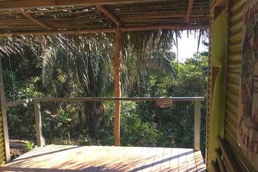 Osa Jungle Hostel