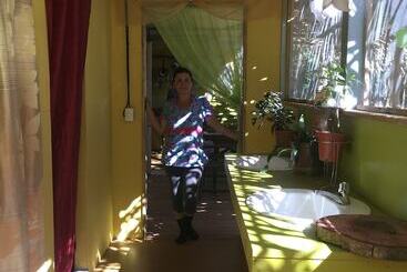 Osa Jungle Hostel