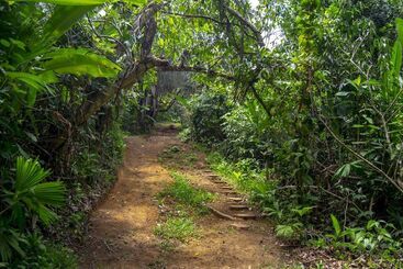 Osa Jungle Hostel