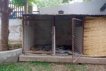 هاستل Ruby   Casa De Hospedes   Backpackers