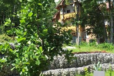 Boutique Hotel Sudetia   Medical & Spa