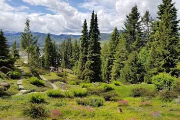 هتل Hilton Garden Inn Wenatchee