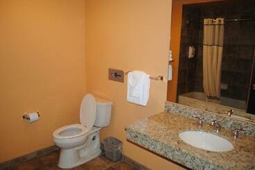 استراحتگاه Wisconsin Dells Area Condominiums