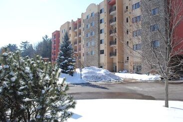 استراحتگاه Wisconsin Dells Area Condominiums